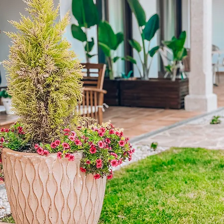 Galicia קלדס דה רייס